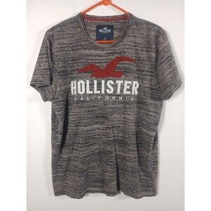 Men’s M Hollister California Heather Gray Graphic Tee Red Seagull Logo 2010s EUC